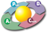 upload.wikimedia.org_220px-PDCA_Cycle.svg.png